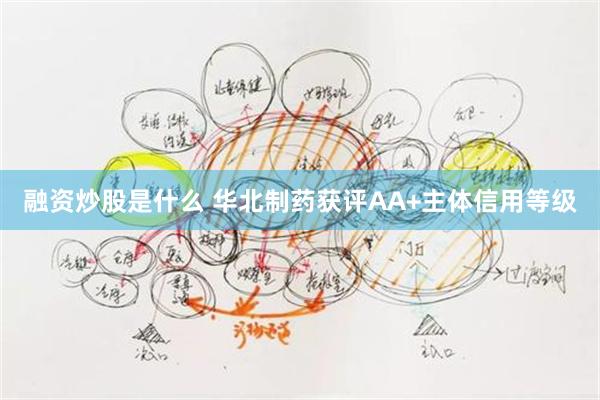 融资炒股是什么 华北制药获评AA+主体信用等级