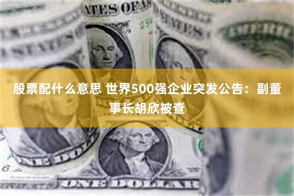 股票配什么意思 世界500强企业突发公告：副董事长胡欣被查