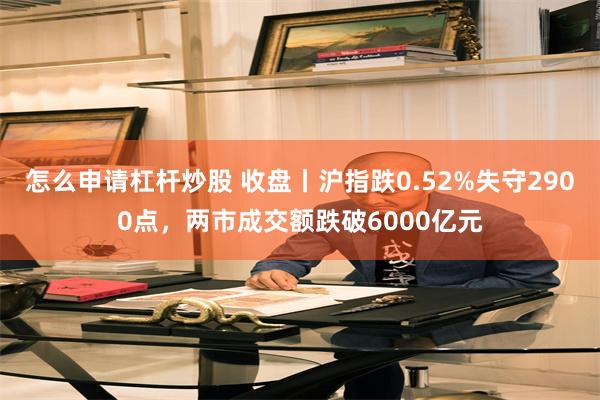 怎么申请杠杆炒股 收盘丨沪指跌0.52%失守2900点，两市成交额跌破6000亿元