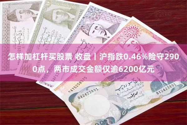 怎样加杠杆买股票 收盘丨沪指跌0.46%险守2900点，两市成交金额仅逾6200亿元