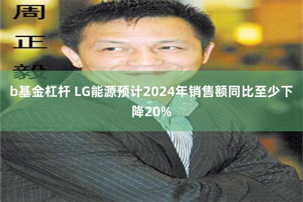 b基金杠杆 LG能源预计2024年销售额同比至少下降20%