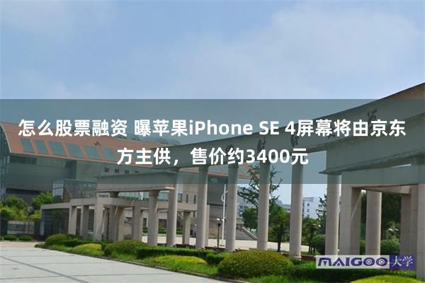 怎么股票融资 曝苹果iPhone SE 4屏幕将由京东方主供，售价约3400元