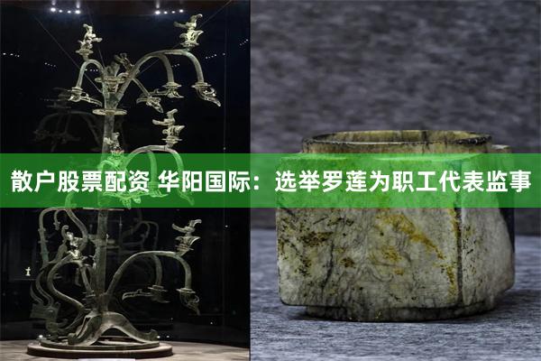 散户股票配资 华阳国际：选举罗莲为职工代表监事