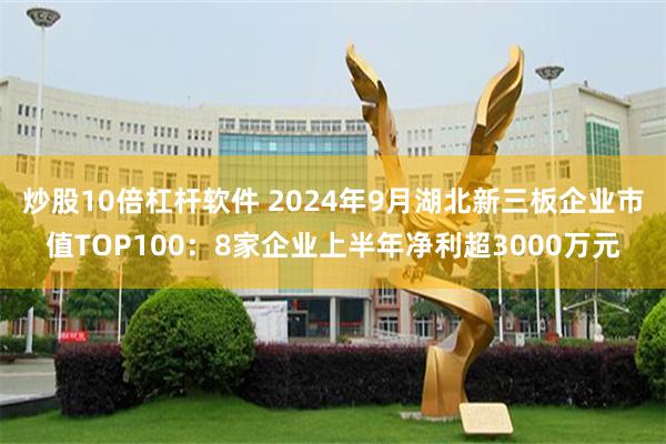 炒股10倍杠杆软件 2024年9月湖北新三板企业市值TOP100：8家企业上半年净利超3000万元