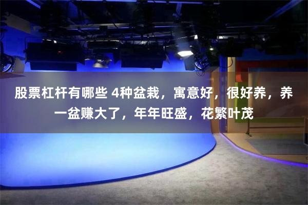 股票杠杆有哪些 4种盆栽，寓意好，很好养，养一盆赚大了，年年旺盛，花繁叶茂