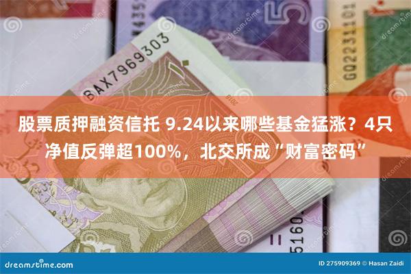 股票质押融资信托 9.24以来哪些基金猛涨？4只净值反弹超100%，北交所成“财富密码”