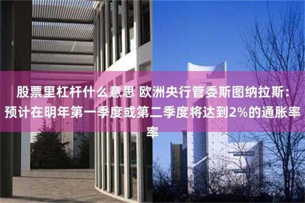 股票里杠杆什么意思 欧洲央行管委斯图纳拉斯：预计在明年第一季度或第二季度将达到2%的通胀率