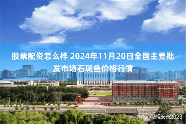 股票配资怎么样 2024年11月20日全国主要批发市场石斑鱼价格行情