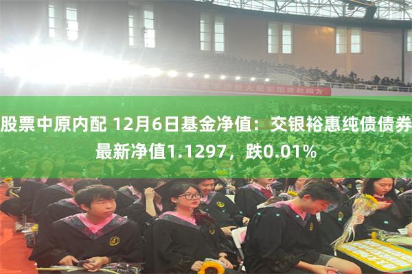 股票中原内配 12月6日基金净值：交银裕惠纯债债券最新净值1.1297，跌0.01%