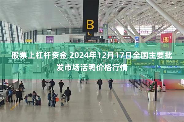 股票上杠杆资金 2024年12月17日全国主要批发市场活鸭价格行情