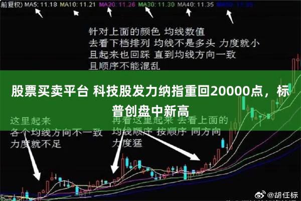 股票买卖平台 科技股发力纳指重回20000点，标普创盘中新高