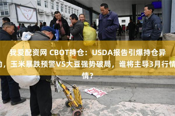 我爱配资网 CBOT持仓：USDA报告引爆持仓异动，玉米暴跌预警VS大豆强势破局，谁将主导3月行情？