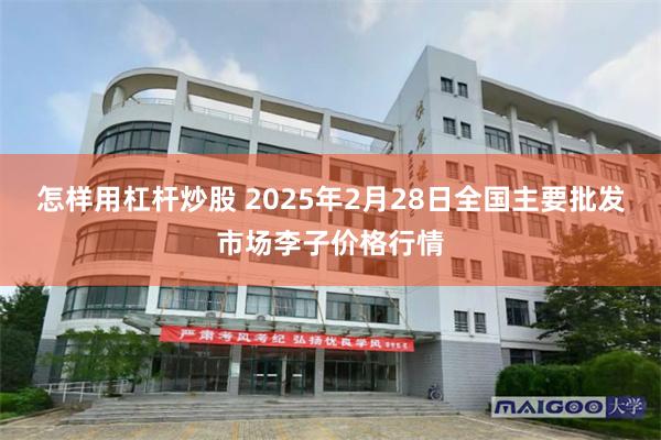 怎样用杠杆炒股 2025年2月28日全国主要批发市场李子价格行情