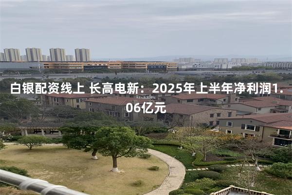 白银配资线上 长高电新：2025年上半年净利润1.06亿元